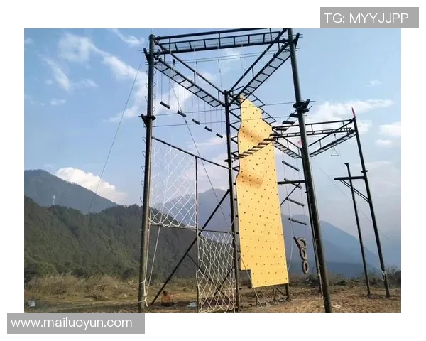 高度掌控者：跳高运动员的垂直爆发力解析