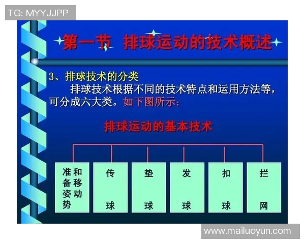 上海排球队中路突破分析与战术反思探讨